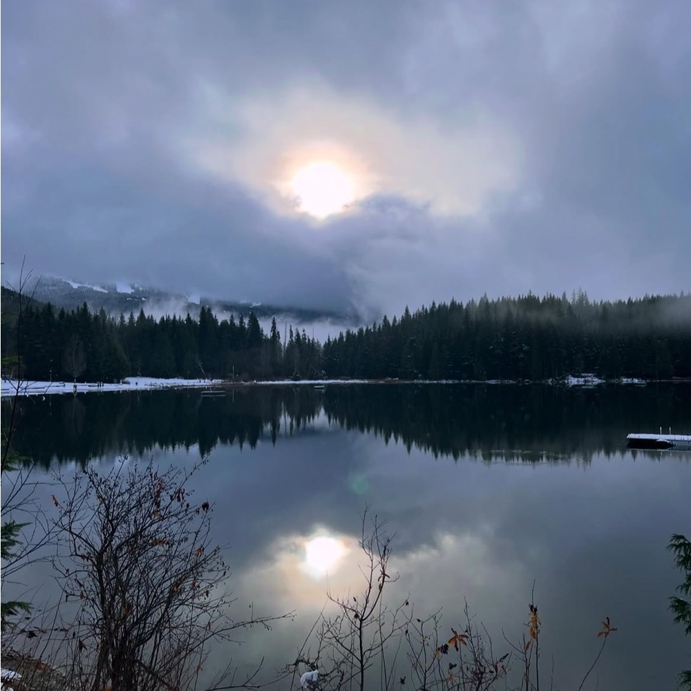 Meet your Posher, Holly